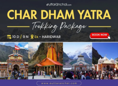 Char Dham Yatra Ex-Haridwar 9 Night 10 Days